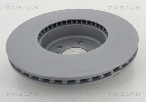 Brake Disc TRISCAN 8120111055C 2