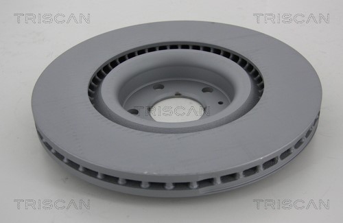 Brake Disc TRISCAN 8120291015C 2