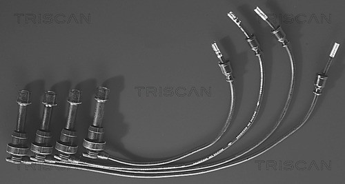 Ignition Cable Kit TRISCAN 88607172