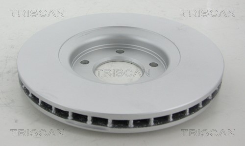 Brake Disc TRISCAN 8120101011C 2