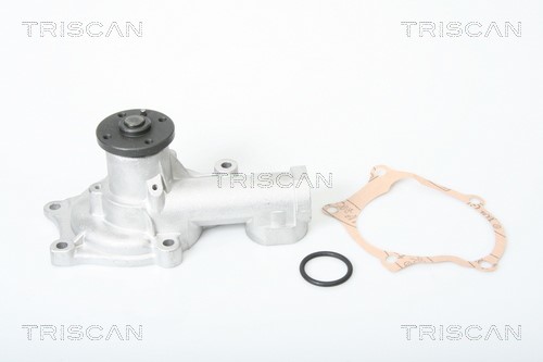 Water Pump, engine cooling TRISCAN 860042002
