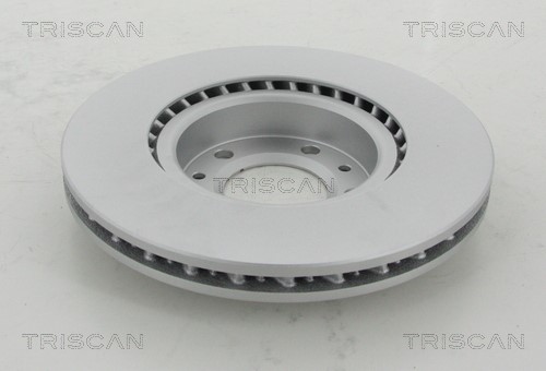 Brake Disc TRISCAN 812028144C 2
