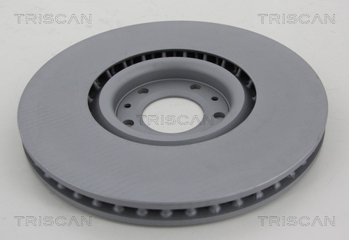 Brake Disc TRISCAN 812028140C 2