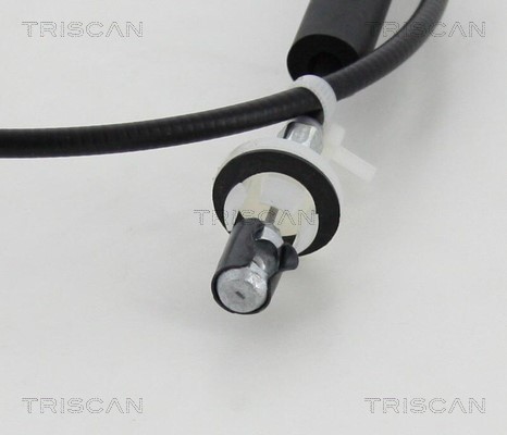 Accelerator Cable TRISCAN 814021301 2