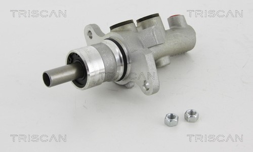 Brake Master Cylinder TRISCAN 813011126