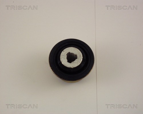 Mounting, control/trailing arm TRISCAN 850025806 3