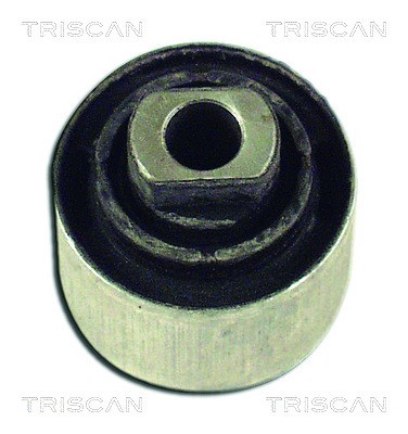 Mounting, control/trailing arm TRISCAN 850029841