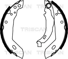 Brake Shoe Set TRISCAN 810010389