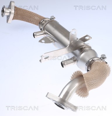 Cooler, exhaust gas recirculation TRISCAN 881315071 2