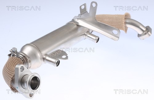 Cooler, exhaust gas recirculation TRISCAN 881315071 3