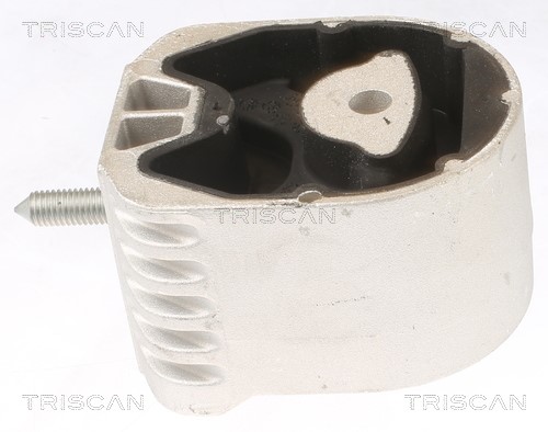 Mounting, engine TRISCAN 850523102