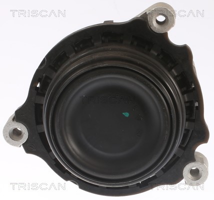 Mounting, engine TRISCAN 850511109 2