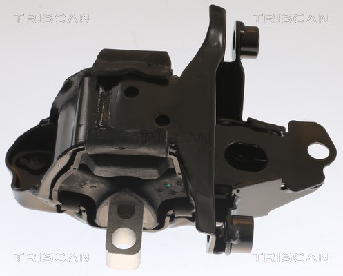 Mounting, engine TRISCAN 850529104 2