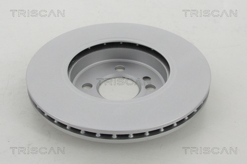 Brake Disc TRISCAN 812011187C 2