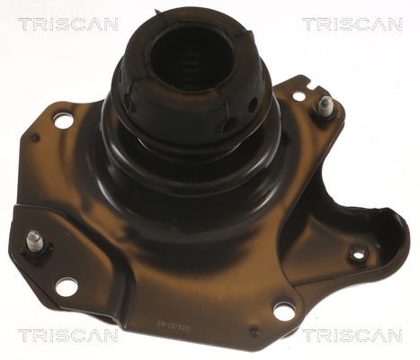 Mounting, engine TRISCAN 850529150