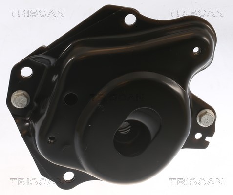 Mounting, engine TRISCAN 850529150 2