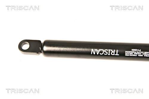 Gas Spring, front panel TRISCAN 87109005 2