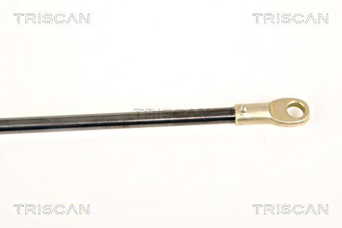 Gas Spring, front panel TRISCAN 87109005 3