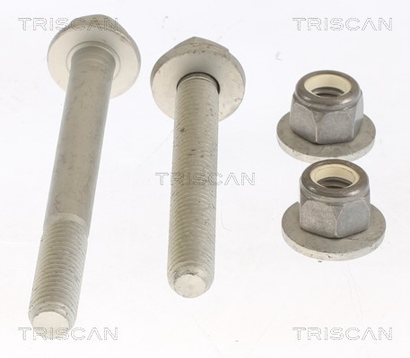 Repair Kit, wheel suspension TRISCAN 850025404