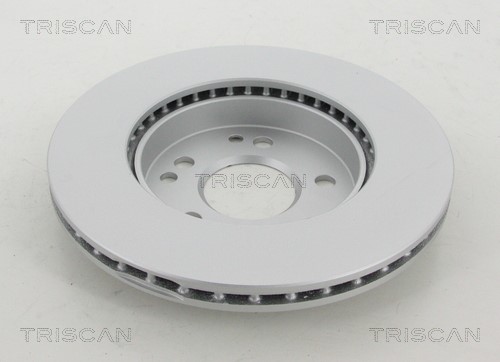 Brake Disc TRISCAN 812023123C 2