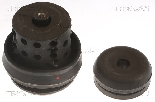 Mounting, engine TRISCAN 850529118