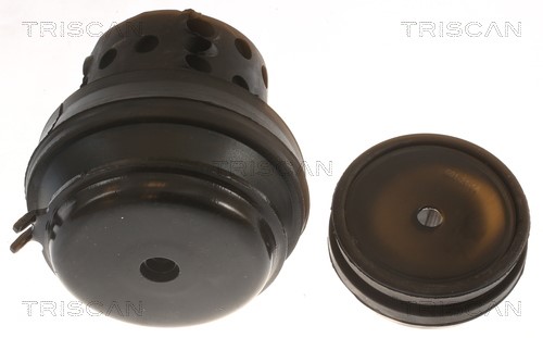 Mounting, engine TRISCAN 850529118 2