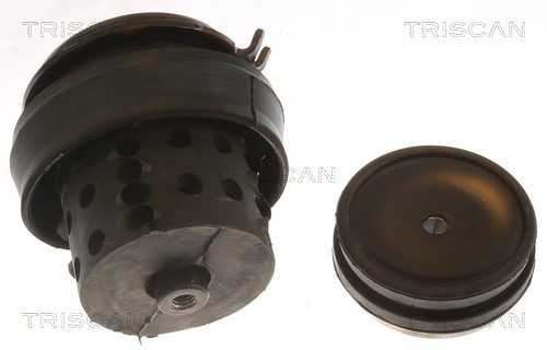 Mounting, engine TRISCAN 850529118 3