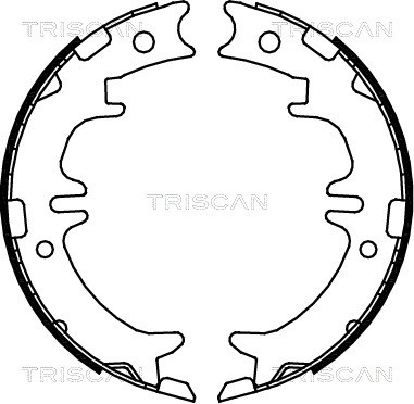 Brake Shoe Set, parking brake TRISCAN 810013033