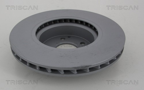Brake Disc TRISCAN 812023162C 2