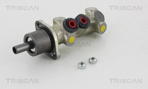 Brake Master Cylinder TRISCAN 813015138