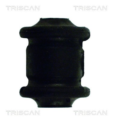 Mounting, control/trailing arm TRISCAN 850024801