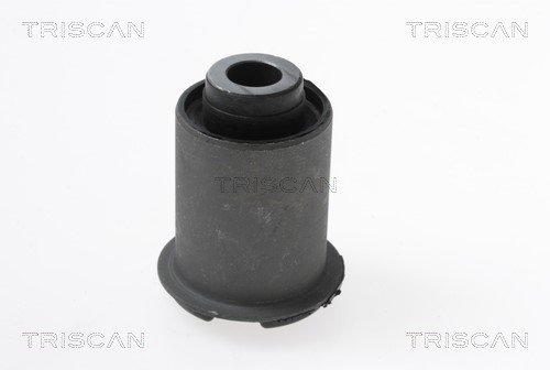 Mounting, control/trailing arm TRISCAN 850043810