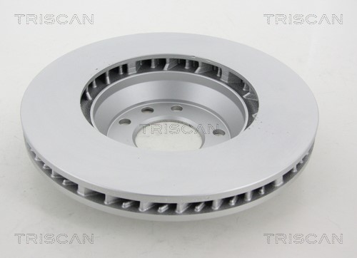 Brake Disc TRISCAN 812029180C 2