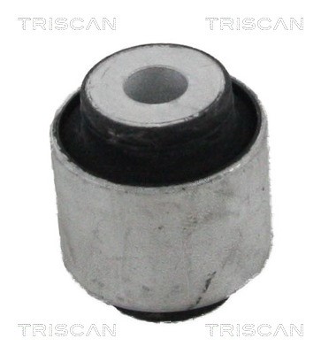 Mounting, control/trailing arm TRISCAN 850023822