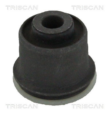 Mounting, control/trailing arm TRISCAN 850028845