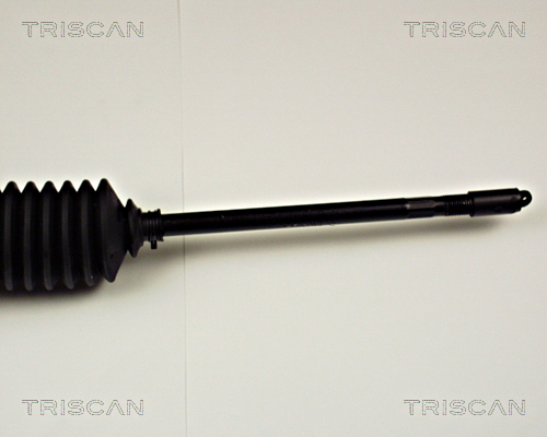 Steering Gear TRISCAN 851010400 3