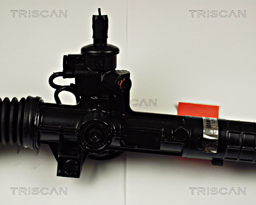 Steering Gear TRISCAN 851010400 4