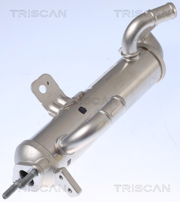 Cooler, exhaust gas recirculation TRISCAN 881343102 2