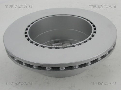Brake Disc TRISCAN 812010198C 2
