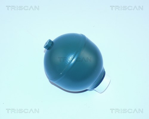 Pressure Accumulator, pneumatic suspension TRISCAN 876038101