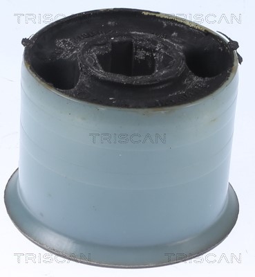 Mounting, control/trailing arm TRISCAN 8500298071