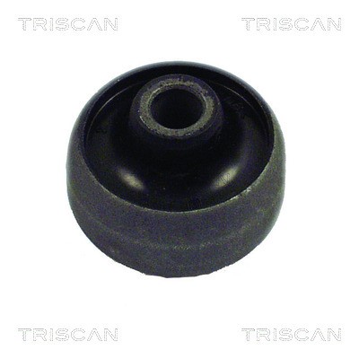 Mounting, control/trailing arm TRISCAN 850016819