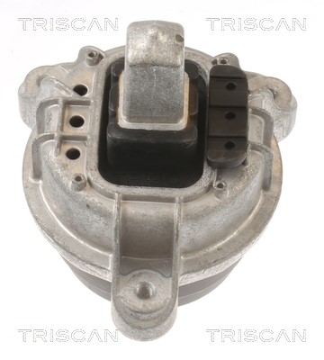 Mounting, engine TRISCAN 850511117