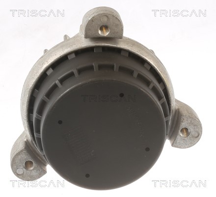 Mounting, engine TRISCAN 850511117 2