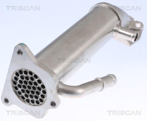 Cooler, exhaust gas recirculation TRISCAN 881316109 2