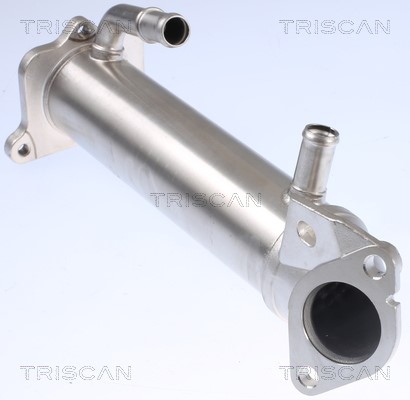 Cooler, exhaust gas recirculation TRISCAN 881316109 3