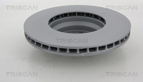 Brake Disc TRISCAN 812011161C 2