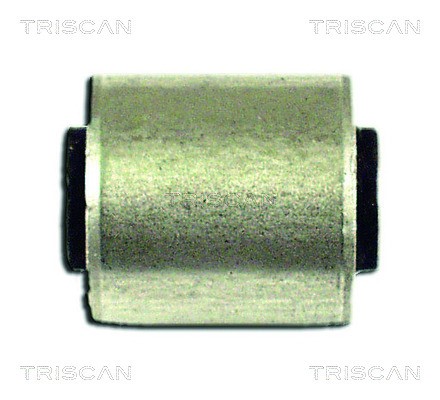 Mounting, control/trailing arm TRISCAN 850029840
