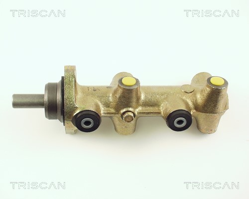 Brake Master Cylinder TRISCAN 813029100