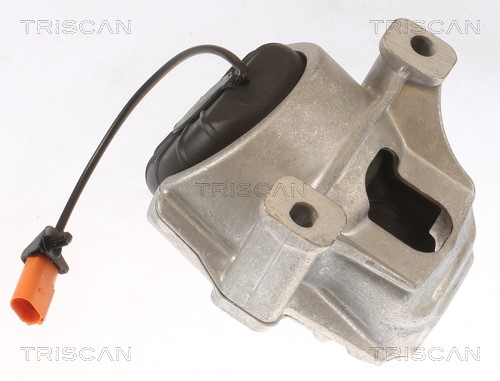Mounting, engine TRISCAN 850529178 3